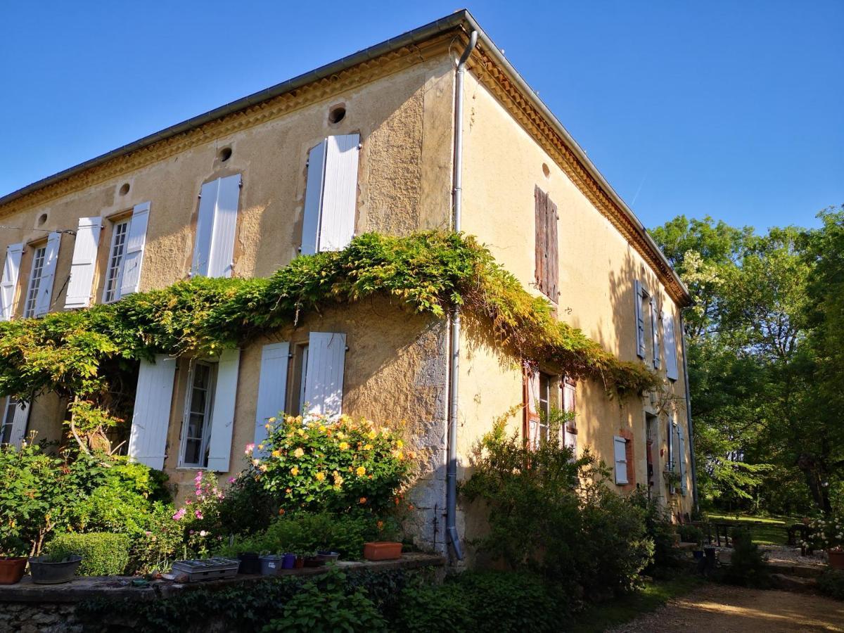 Mule Bed & Breakfast Lagardere Eksteriør bilde